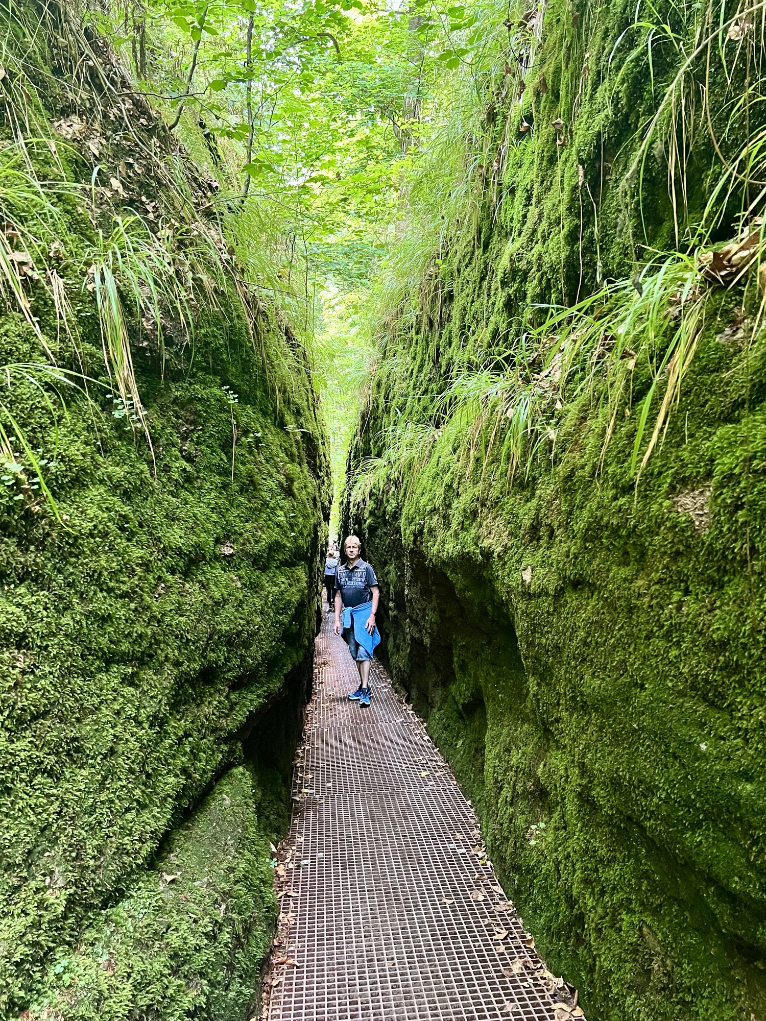 🇩🇪 Wandertag 🥾 im Thüringer Wald🌲🌲🌲