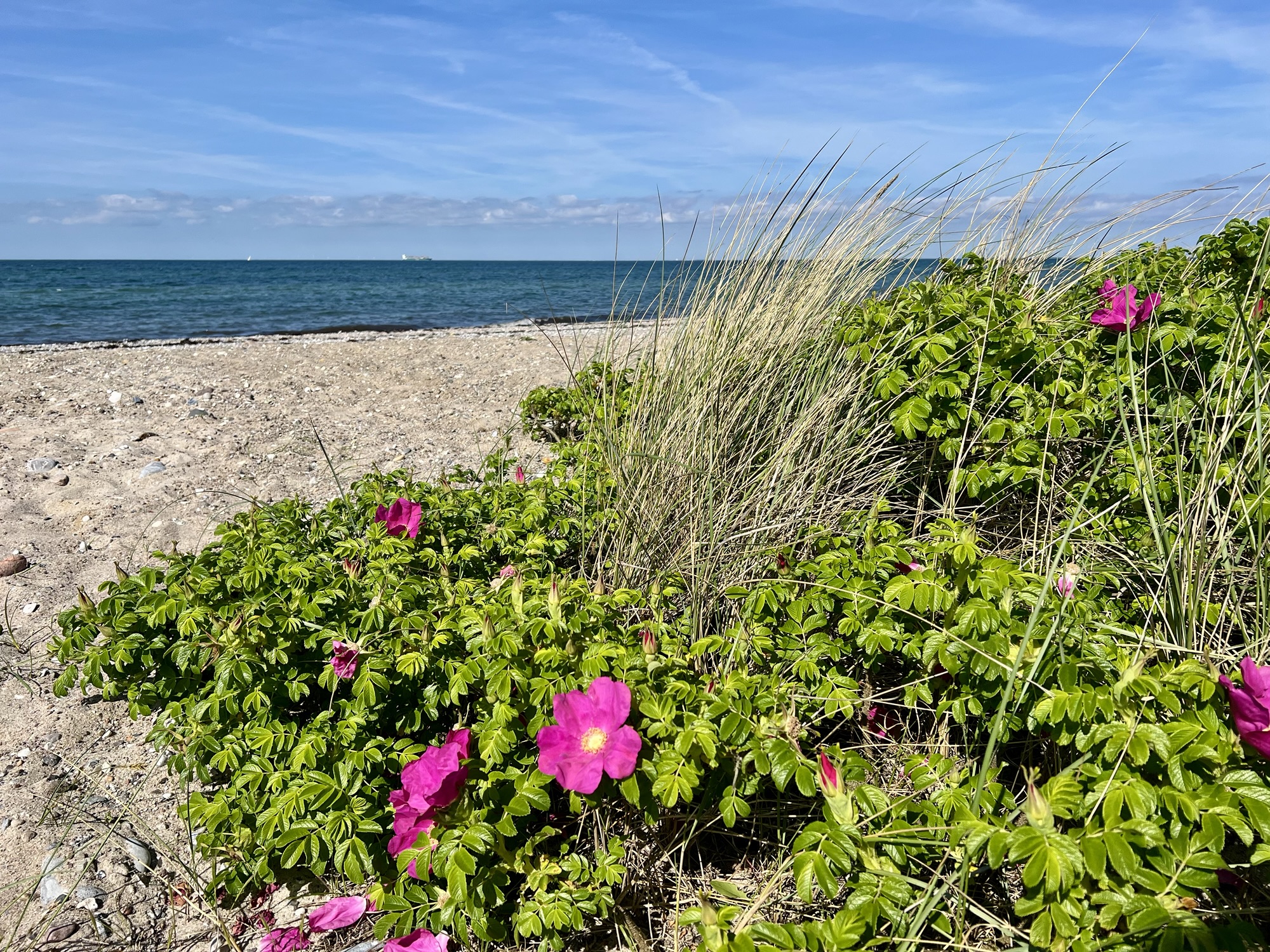 🇩🇪 Endlich wieder unterwegs – Fehmarn