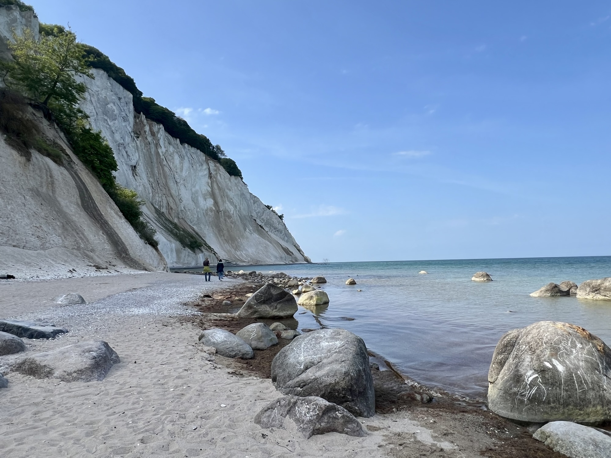 🇩🇰 Ausflug zu den Kreidefelsen – UNESCO Weltkulturerbe Møns Klint