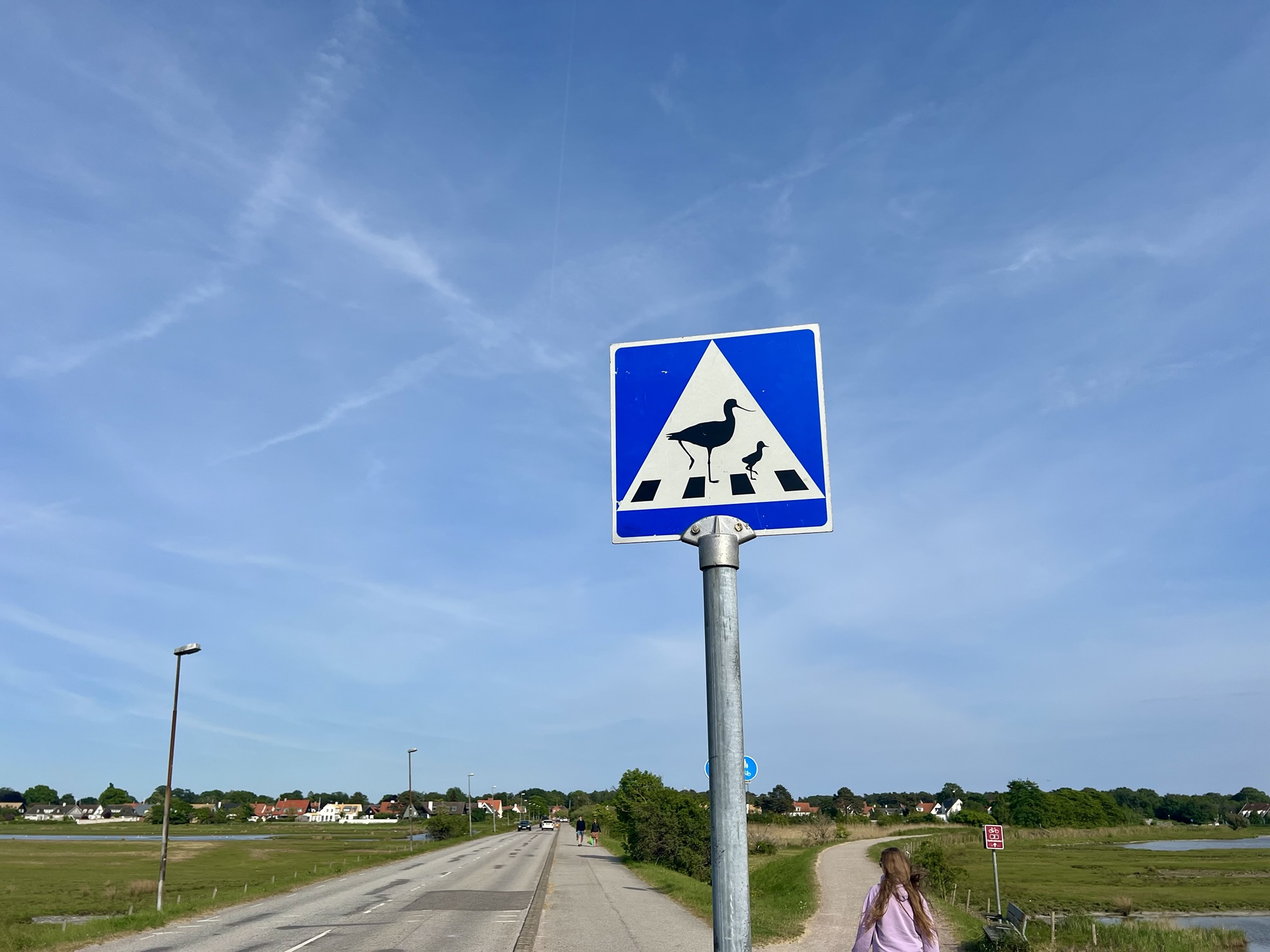 🇸🇪 Chillaui und ein Spaziergang im Naturschutzgebiet Skanör-Falsterbo